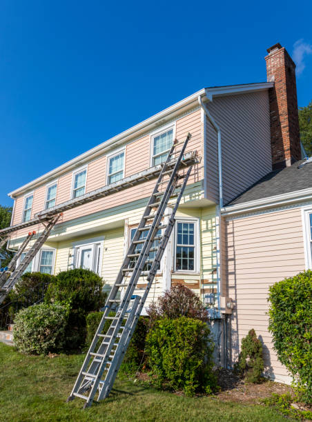 Best Stone Veneer Siding  in Deerfield, MI