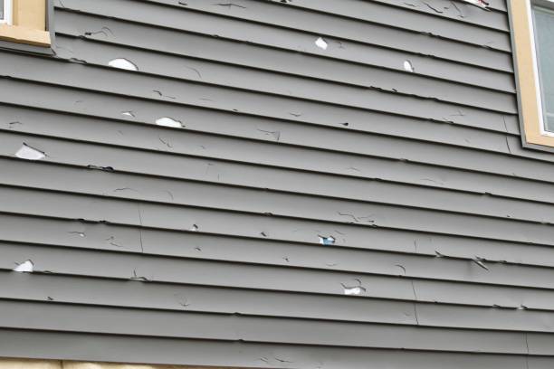 Best Fiber Cement Siding Installation  in Deerfield, MI